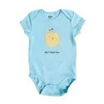 دسته بندی بادی