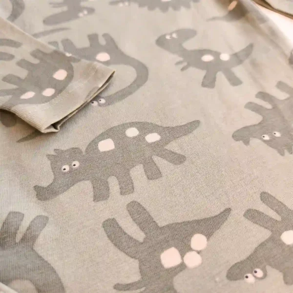 بادی آستین بلند دایناسور رنگ سبز برند HEMA